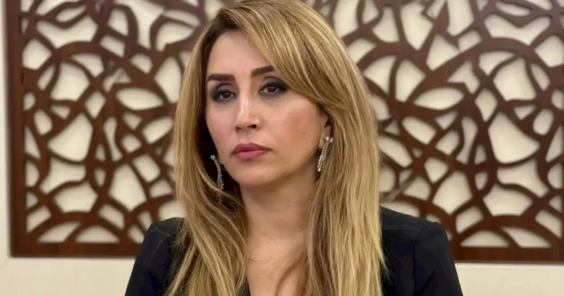 Sən desən də o işi görəcəklər, deməsən də... Elnarə Abdullayeva