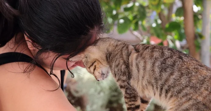 Yunanıstanda pulsuz yaşamaq istəyənlər üçün fürsət FOTO