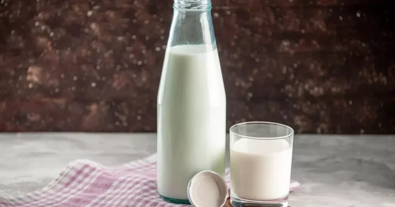 Yeni süd növü istehsal olunacaq