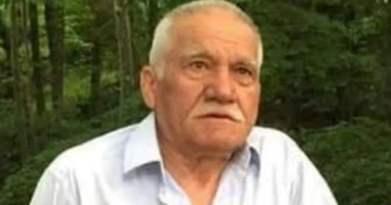 Arı sancdı Öldü
