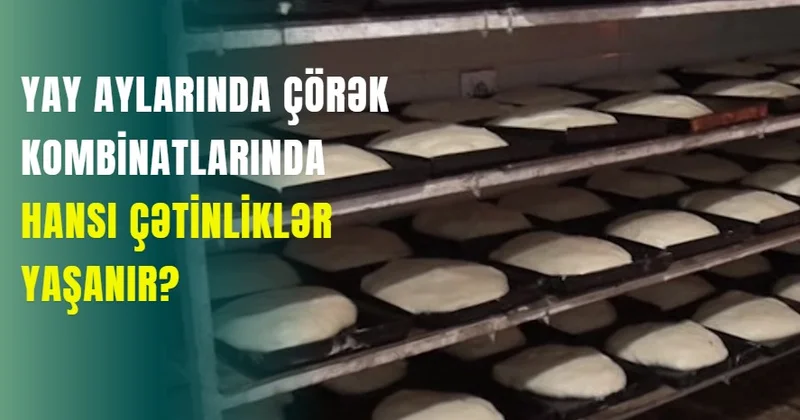 Yay aylarında çörək kombinatlarında hansı çətinliklər yaşanır?