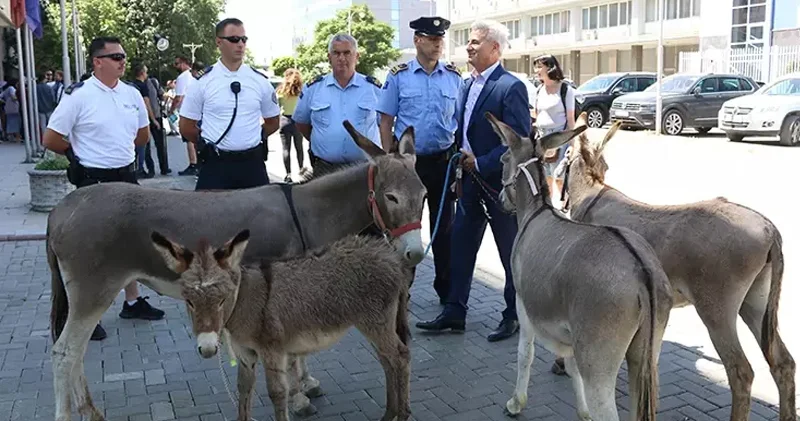 Parlamentdə eşşəklərlə etiraz: Spiker 41 ci iclasda da seçilmədi (FOTO)