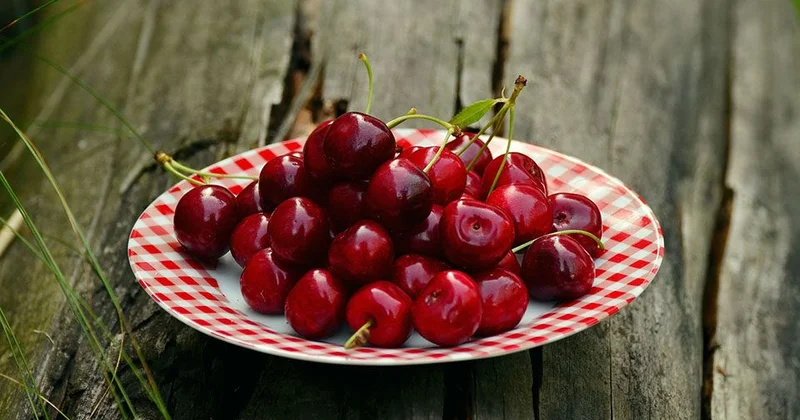 Albalı, gilas adamı kökəldir?