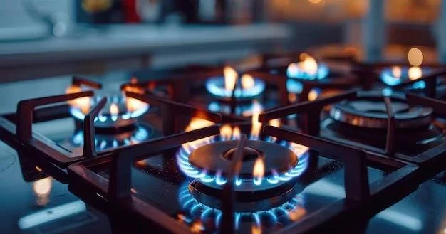 Bakının Sabunçu və Suraxanı rayonlarında qaz olmayacaq