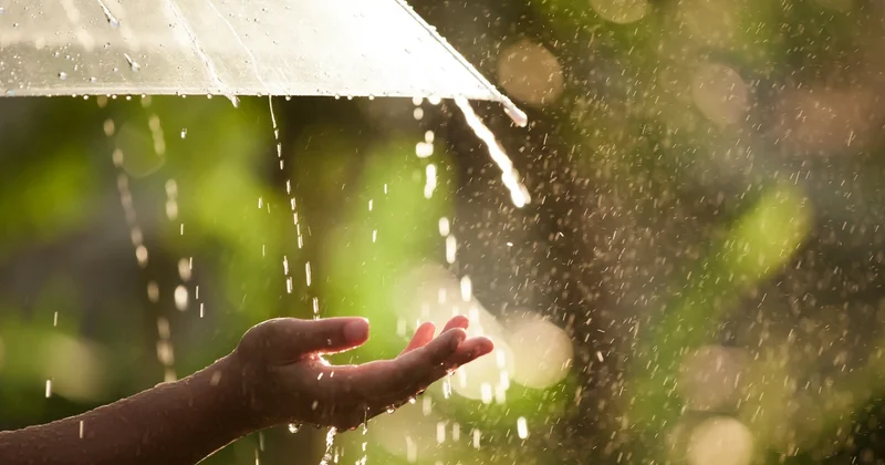 Küləkli və yağışlı hava şəraiti davam edəcək