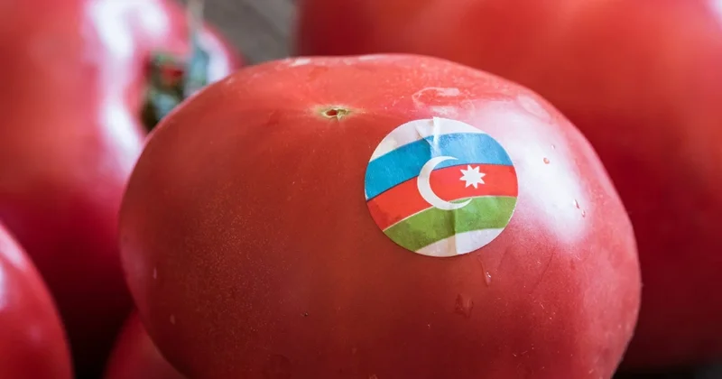Moskva ilə Bakının arası pozularsa, kim daha çox itirəcək? Rusiyadan baxış