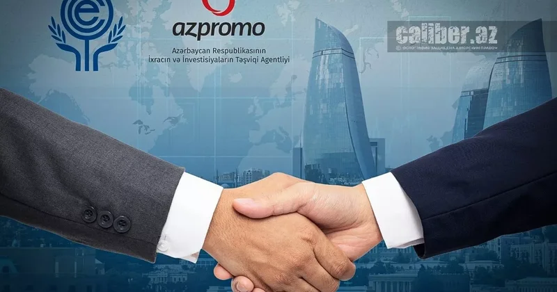 Расширяя горизонты: Азербайджан ставит на ОЭС Обзор Хазара Ахундова