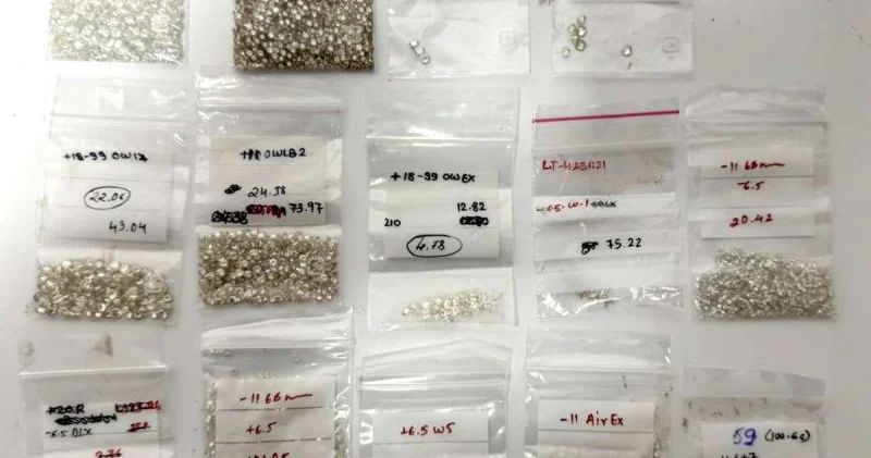 Dubaydan gələn sərnişində 548 karat brilyant aşkarlandı Foto