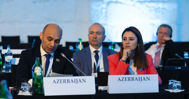 ATƏT PA ərazilərin minalardan təmizlənməsi və bərpası sahəsində Azərbaycana yardım göstərməyə çağırış edib