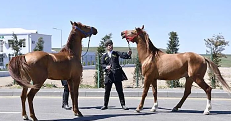 Ağdamda “Zəfər” şousu
