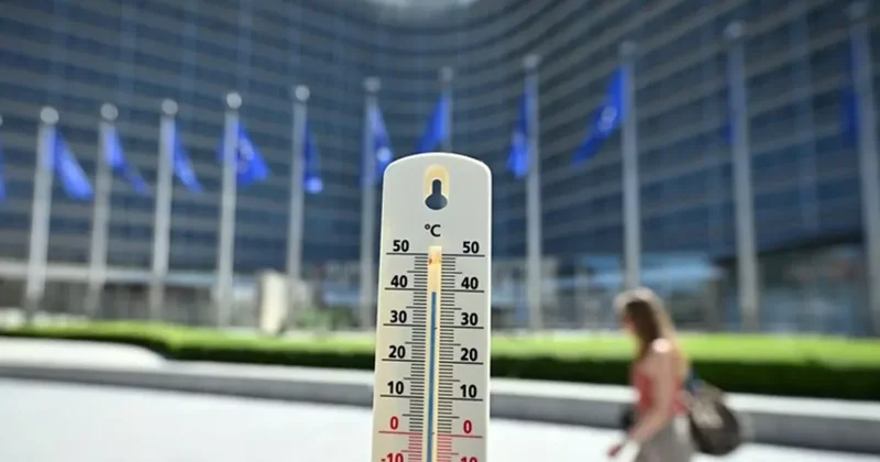 Смертность в Бельгии выросла на 39 процентов из за июньской жары
