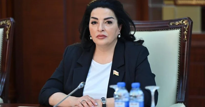 Bu, Azərbaycanın yeni inkişaf mərhələsinə qədəm qoyduğunu göstərir Millət vəkili