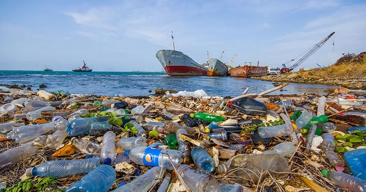 Plastik və polietilen paketlər: İnsanı və təbiəti zəhərləyən düşmən ARAŞDIRMA