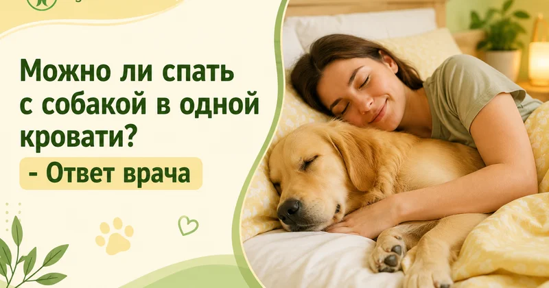 Можно ли спать с собакой в одной кровати? Ответ врача