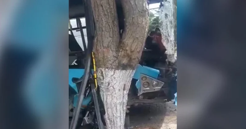 Маршрутный автобус врезался в дерево в Баку: пострадали 11 человек ВИДЕО