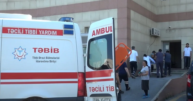 Şəkidə itin 5 nəfəri dişləməsinə İcra Hakimiyyətinin REAKSİYASI FOTO