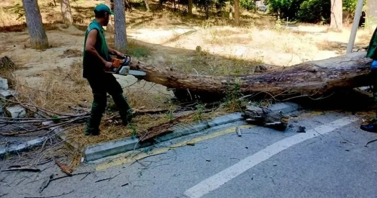 Nəsimi rayonunda genişmiqyaslı eko təmizlik Təhlükə əvəzinə gözəllik FOTO