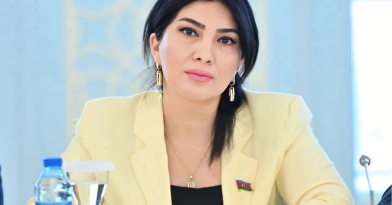 Elnara Səlimova: rəqəmsal azadlıqla təhlükəsizlik balansının qurulması dövlətlər üçün mühüm çağırışdır