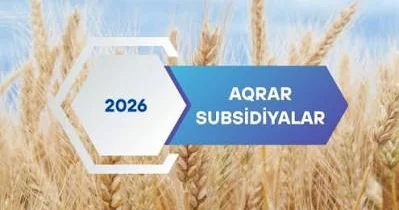“Fermerlərin qarşılaşdığı çətinliklərdən biri də məhsulun satış bazarlarına çıxarılmasıdır” EKSPERT DANIŞDI