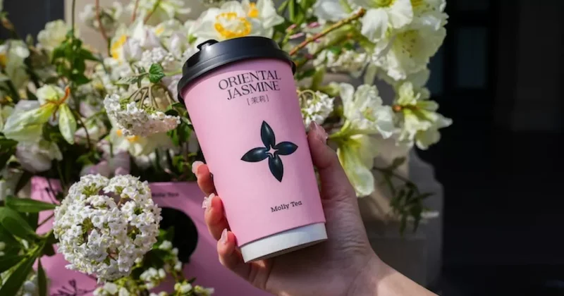 Molly Tea должна выплатить Louis Vuitton миллионы ФОТО