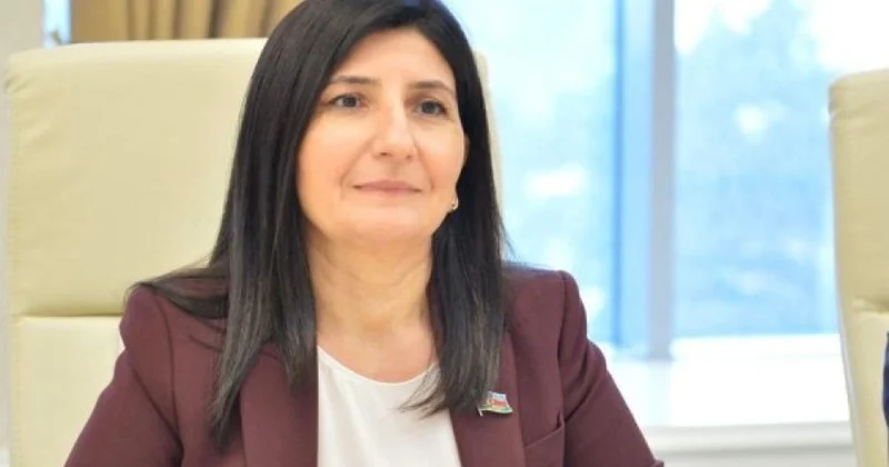 Azərbaycan Avropa İttifaqı münasibətlərində enerji sektoru əməkdaşlığın əsasını təşkil edir RƏY