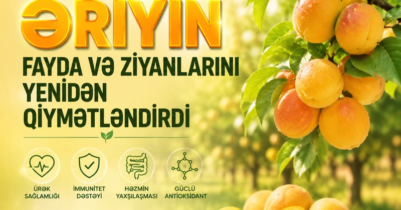 Ərik ürəyi qoruya bilər, amma həddindən artıq istifadə risk daşıyır