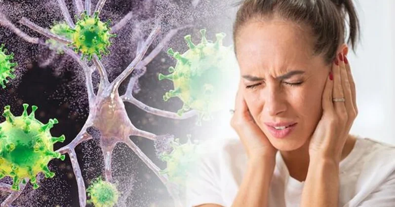 Avropada dərmanı olmayan ölümcül virus yayılır