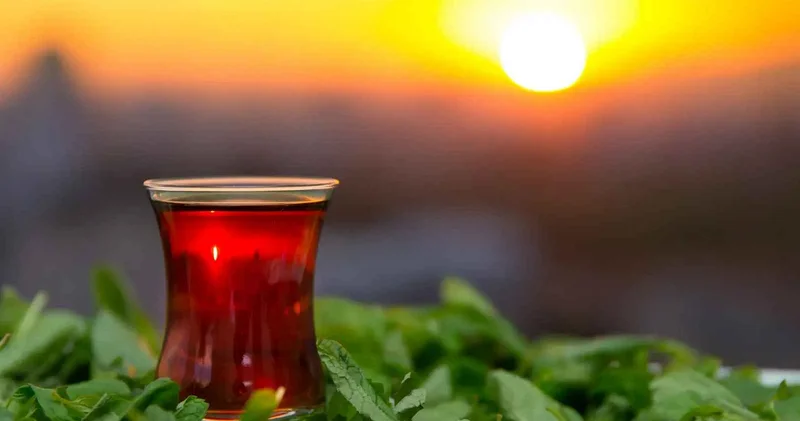 Azərbaycandan 6 ayda 3,8 milyon dollarlıq çay ixrac edilib
