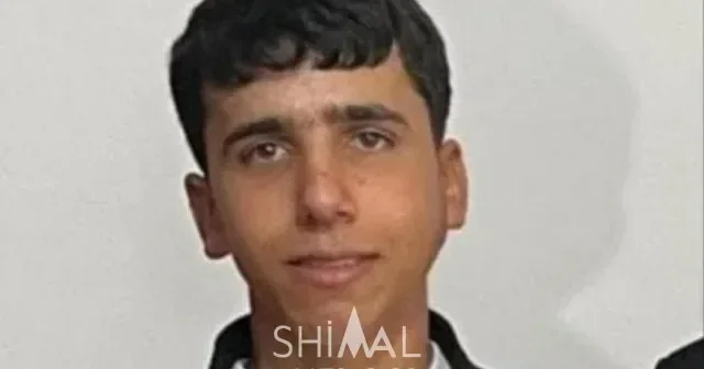 İstirahəti faciə ilə bitən 4 dost şəhərə işləmək üçün gəlibmiş