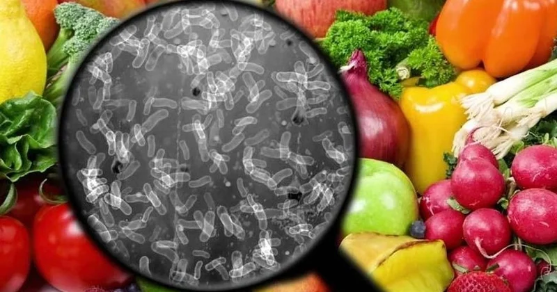 Süfrəmizdə gizli təhlükəyə DİQQƏT Bu qidalar zəhərləyə bilər