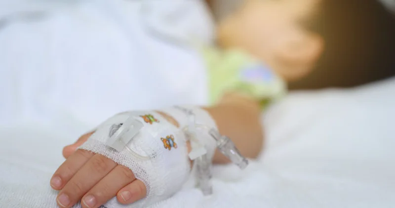 Çiy süddən hazırlanan pendir yedi, 9 il komada qaldı