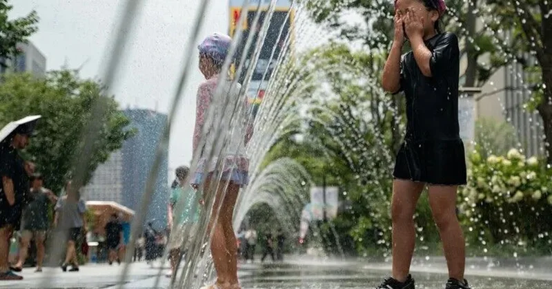 Cənubi Koreyada anomal istilər hökm sürür