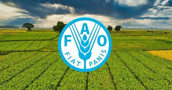 Qazaxıstan və FAO kənd təsərrüfatının modernləşdirilməsi layihələrinə start verib