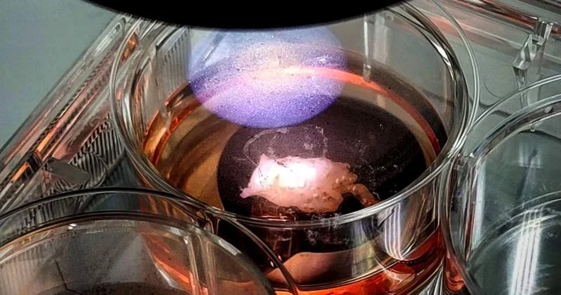 Kosmosda 3D bioprintinq tibbdə yeni üfüqlər açır