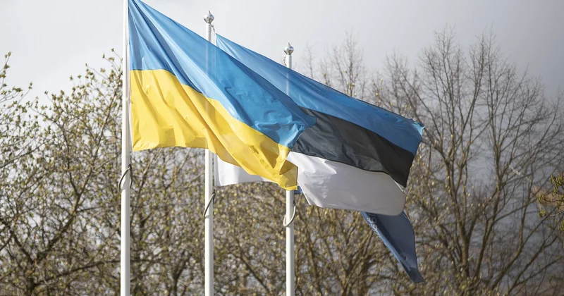 Эстония выделила 0,3% ВВП на поддержку Украины