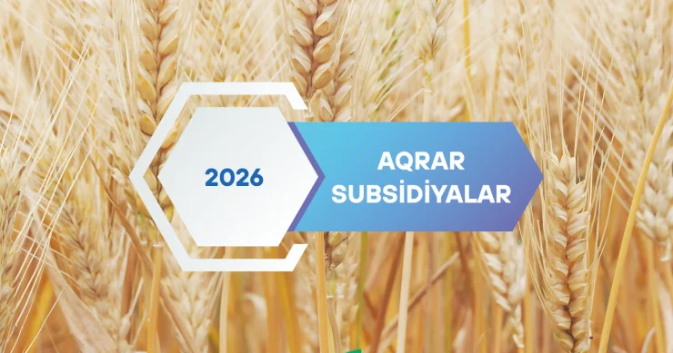 Aqrar subsidiyalar bolluq və ucuzluğa aparır