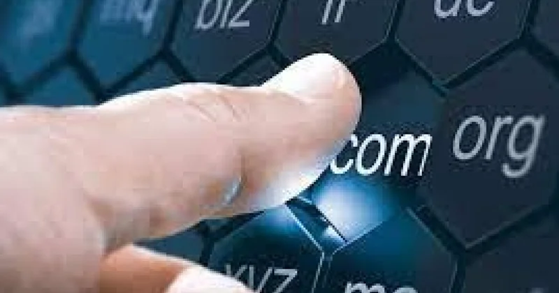Dövlət qurumlarının domenlərinə bənzədilmiş 2 saxta domen aşkarlanaraq bloklandı