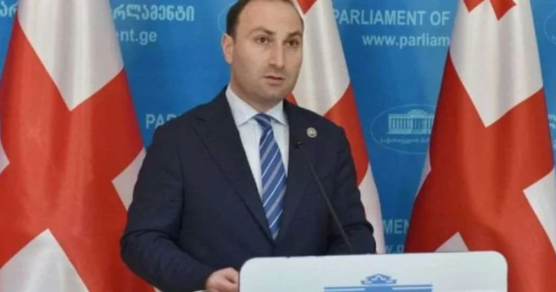 Gürcüstan DTX yə yeni sədr təyin olunub