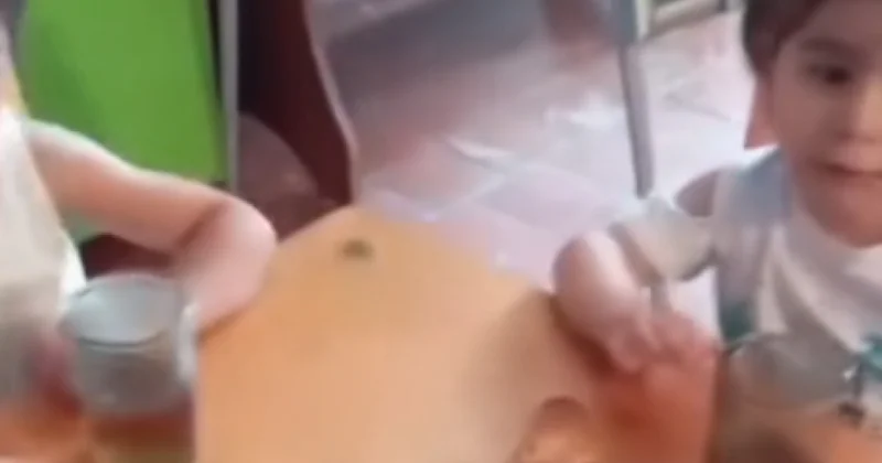 Детей в апшеронском детсаду посадили на хлеб и воду видео