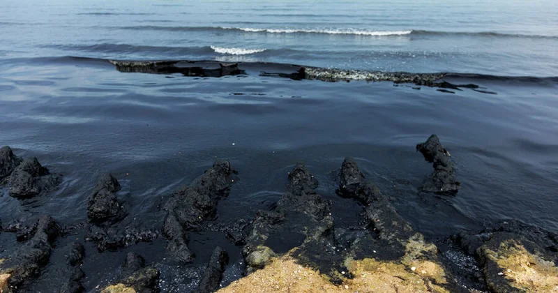Разлив нефти в Черном море: что известно?