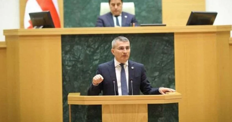 Parlament Gürcü Arzusu nun icraçı katibini DTX rəhbəri vəzifəsinə təsdiqləyib