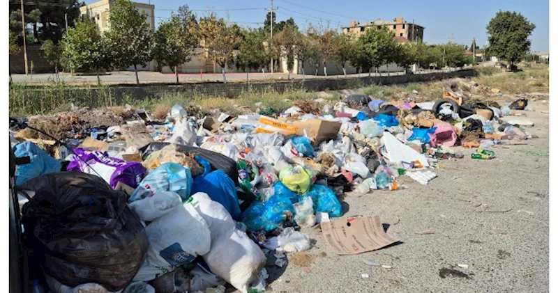 Binəqədidə acınacaqlı vəziyyət Aylardır zibillər təmizlənmir (ŞOK GÖRÜNTÜLƏR)