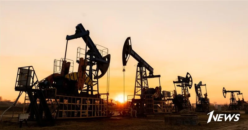 NYP: Трамп хочет, чтобы Европа перестала покупать нефть из России