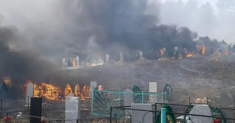 Поджог кладбищ в Газахе и Товузе: есть задержанные