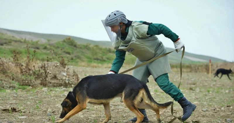 ANAMA ya 60 dan çox minaaxtaran it bağışlanılıb