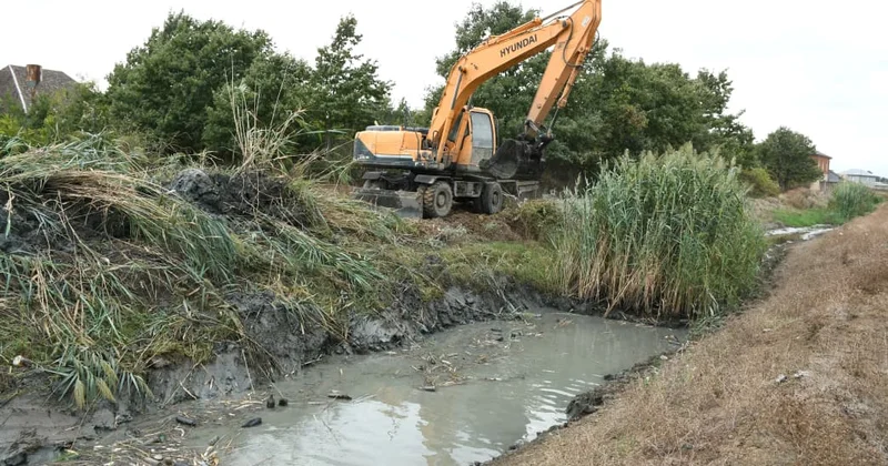 Masallıda abadlıq və infrastruktur işləri diqqət mərkəzindədir