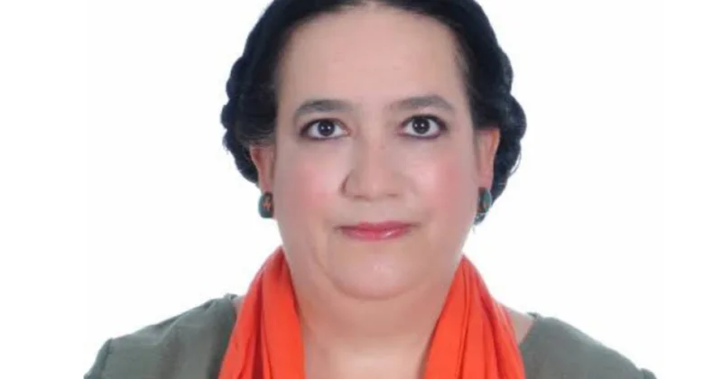 Professor: ŞƏT in potensialı Avrasiyanın mərkəzi ilə Asiyanın periferiyasını birləşdirməkdən ibarətdir