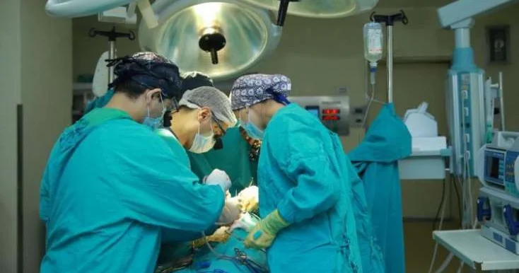 Tələbat ARTIR Plastik cərrahiyyə niyə ayrıca ixtisas kimi tədris olunmur?