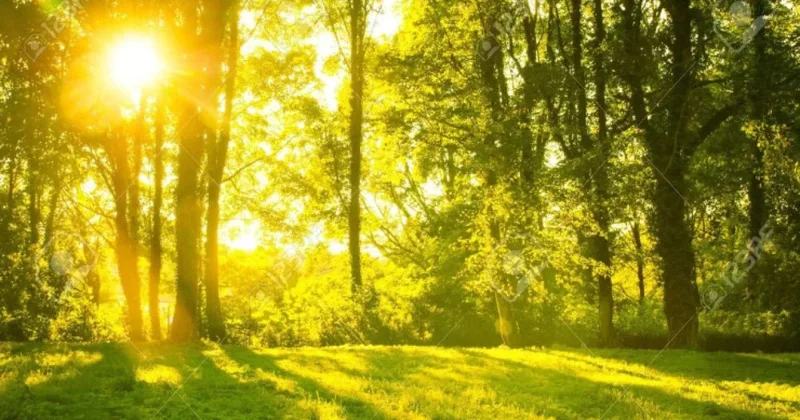 Avqust ayında müşahidə olunan hava açıqlandı