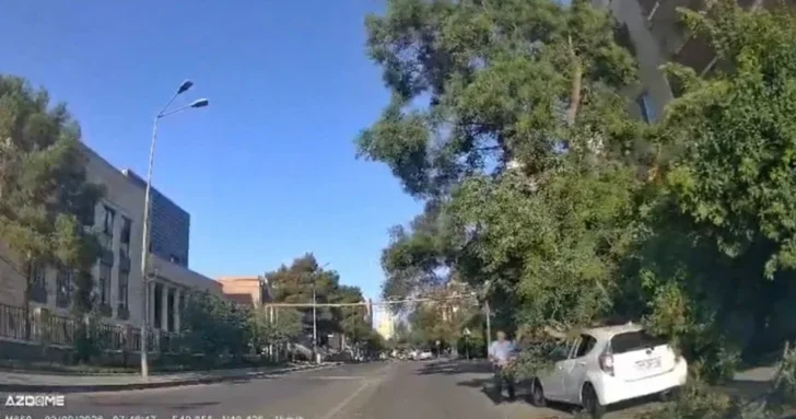Крупные ветви дерева рухнули на автомобиль в Баку